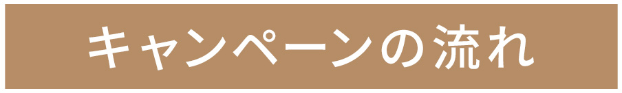 キャンペーンの流れ