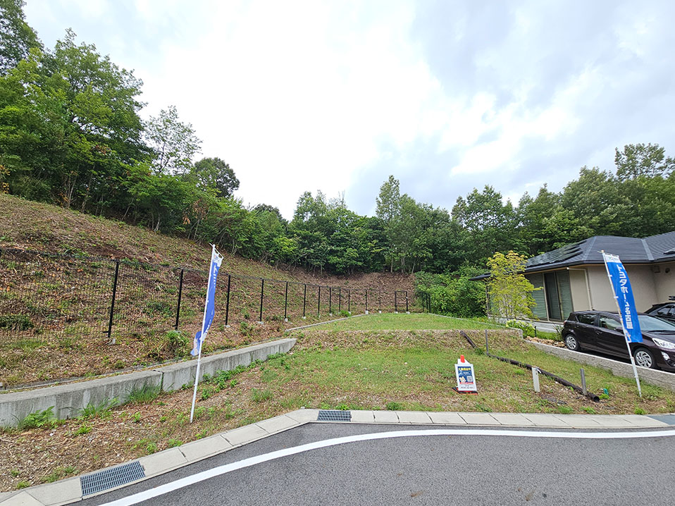 11号地