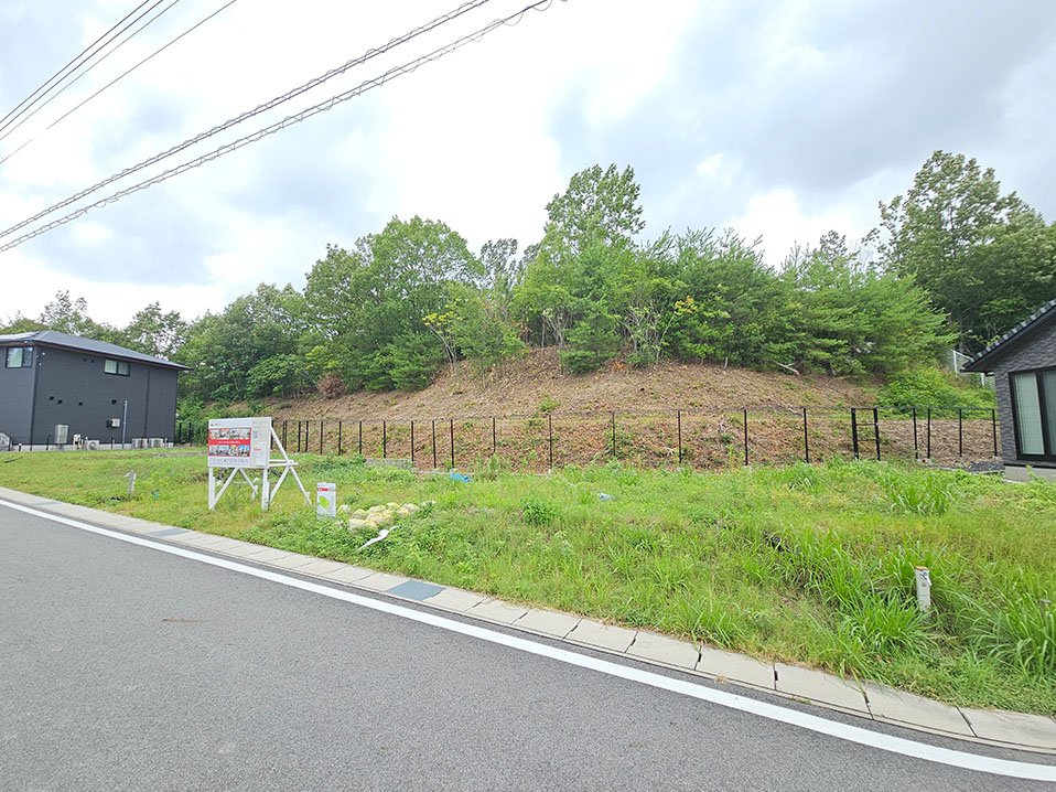 16号地